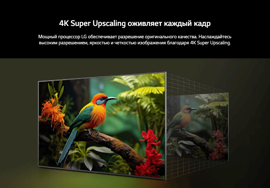 Телевизор LG 55